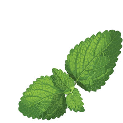 ingredients-icon-Kampek (25)